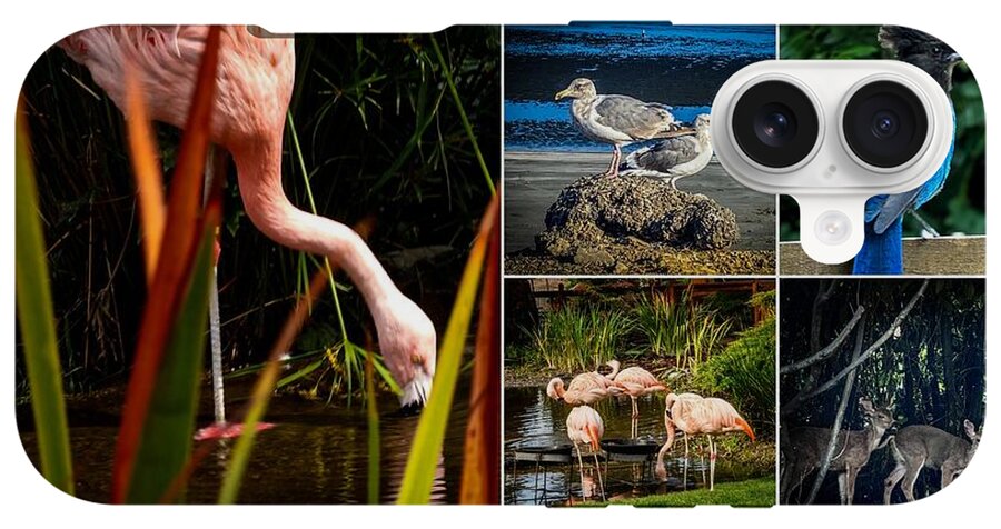 Wild life  1 - Phone Case