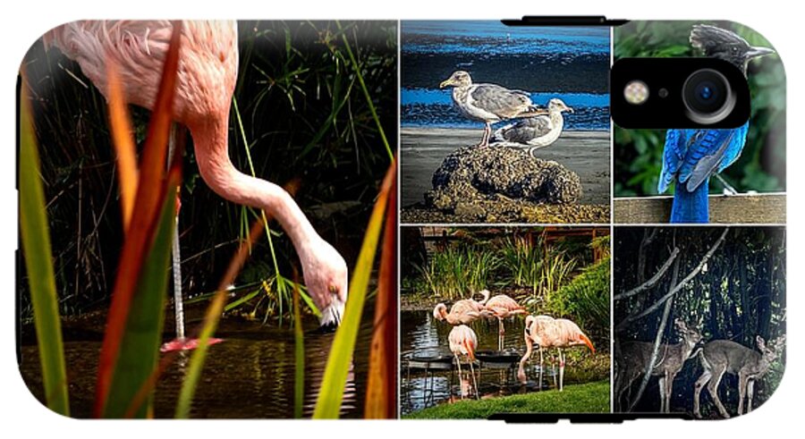 Wild life  1 - Phone Case