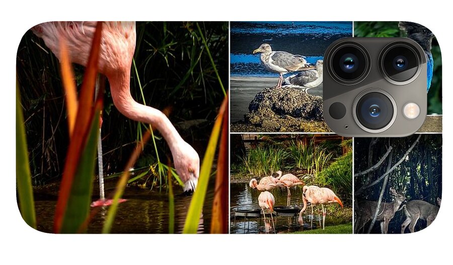 Wild life  1 - Phone Case