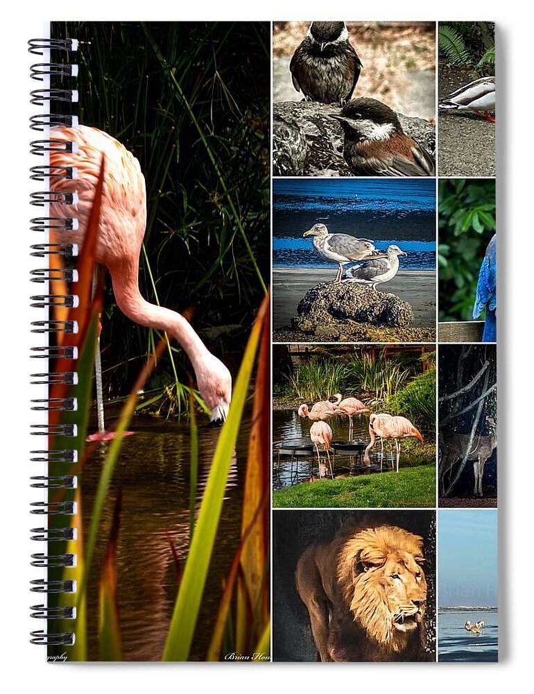 Wild life  1 - Spiral Notebook