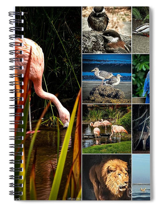 Wild life  1 - Spiral Notebook