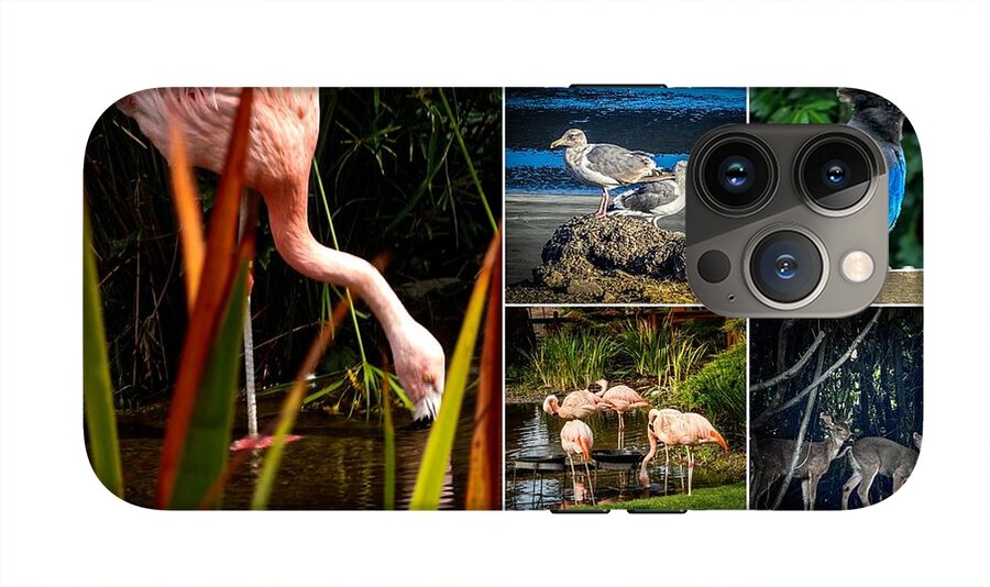 Wild life  1 - Phone Case
