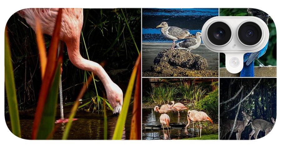 Wild life  1 - Phone Case