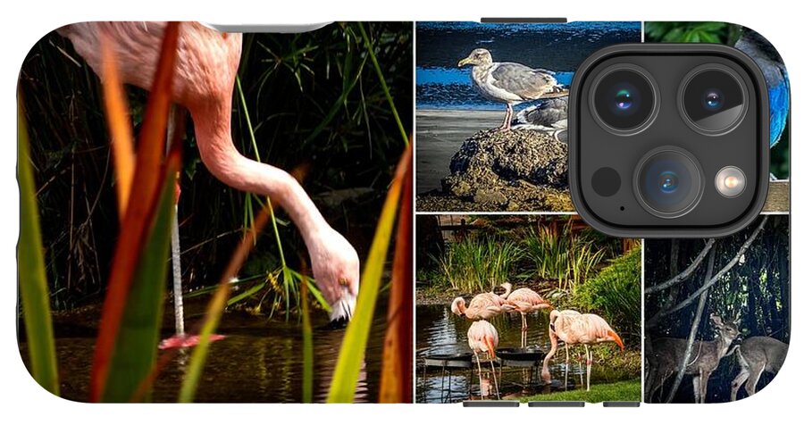 Wild life  1 - Phone Case