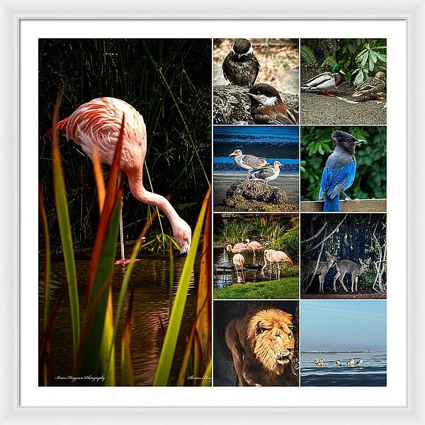 Wild life  1 - Framed Print