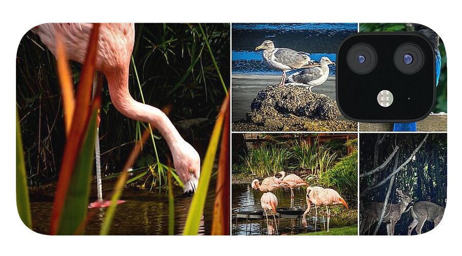 Wild life  1 - Phone Case