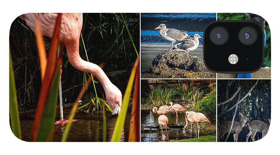 Wild life  1 - Phone Case