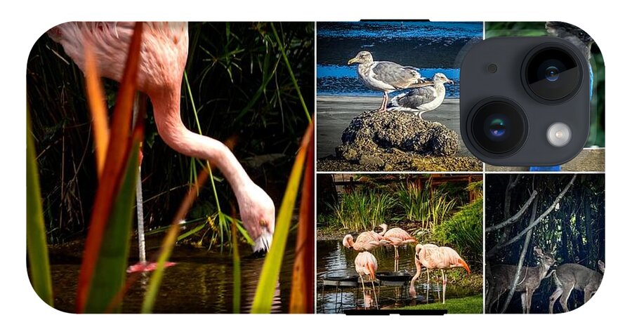 Wild life  1 - Phone Case