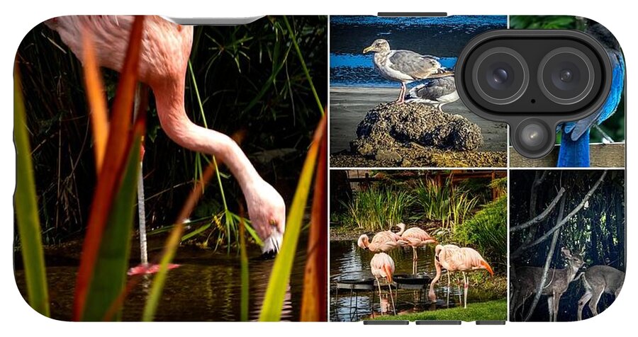 Wild life  1 - Phone Case