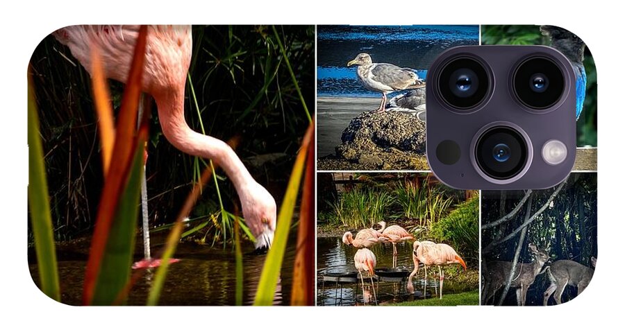 Wild life  1 - Phone Case