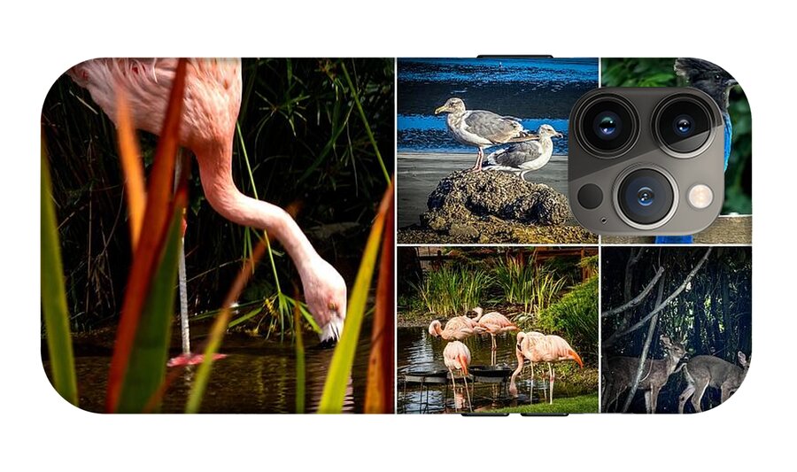 Wild life  1 - Phone Case