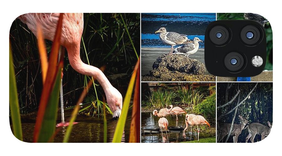 Wild life  1 - Phone Case