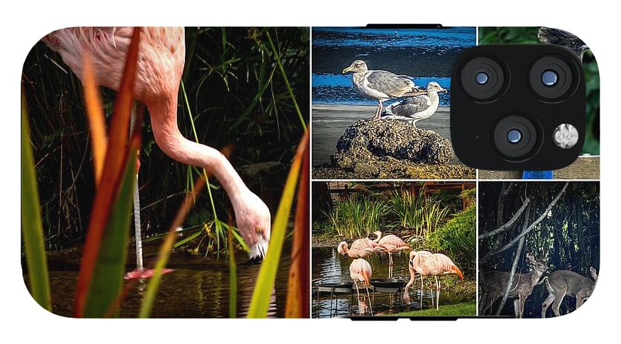 Wild life  1 - Phone Case