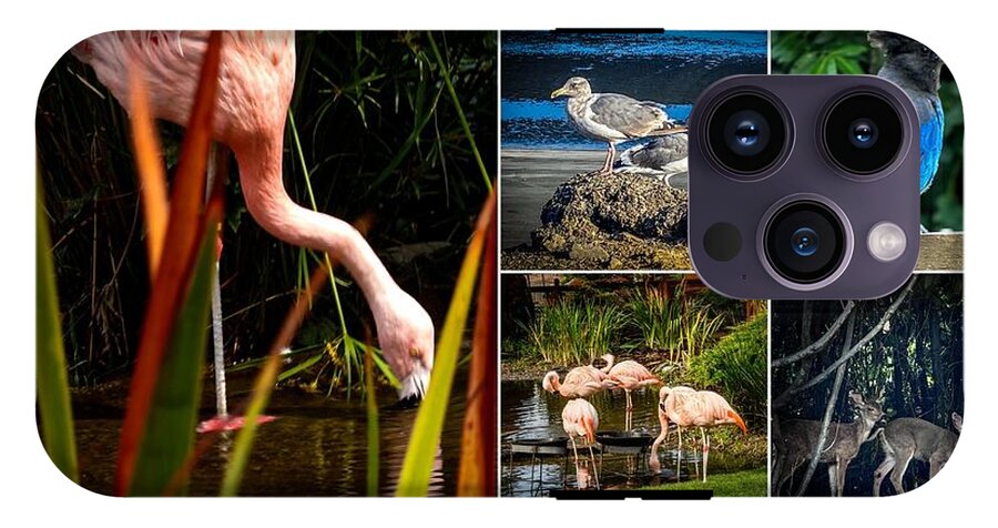 Wild life  1 - Phone Case