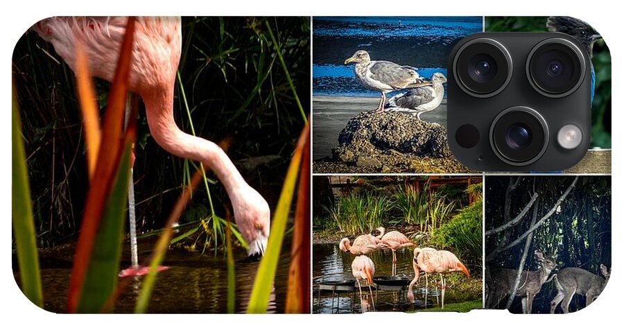 Wild life  1 - Phone Case
