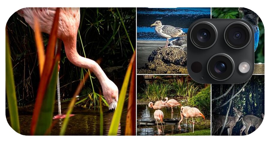 Wild life  1 - Phone Case