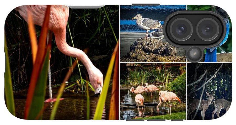 Wild life  1 - Phone Case