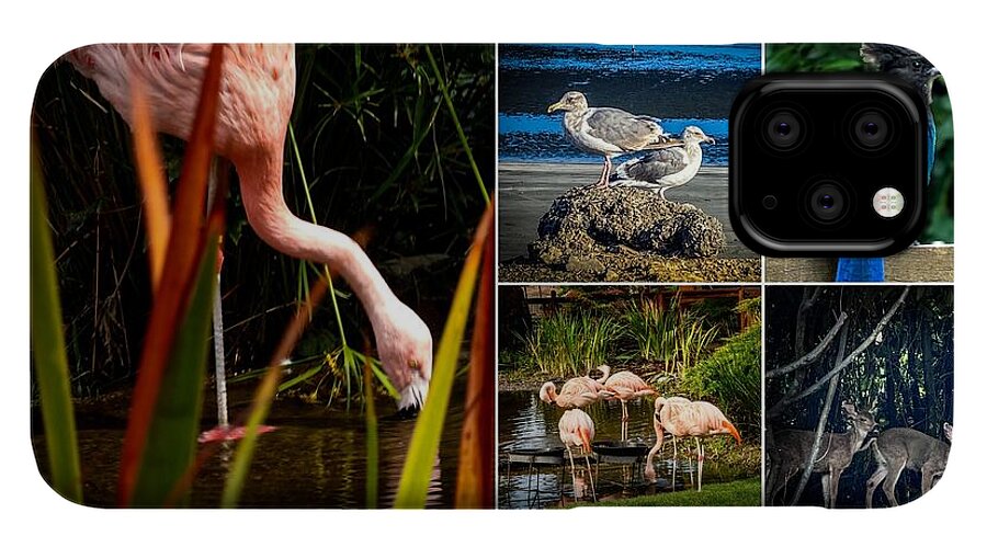Wild life  1 - Phone Case