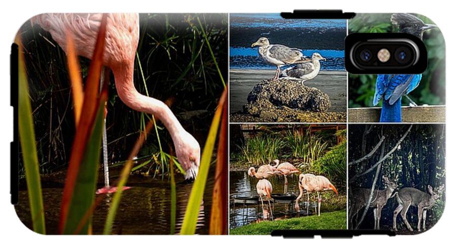 Wild life  1 - Phone Case