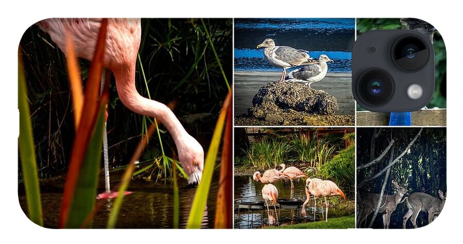 Wild life  1 - Phone Case