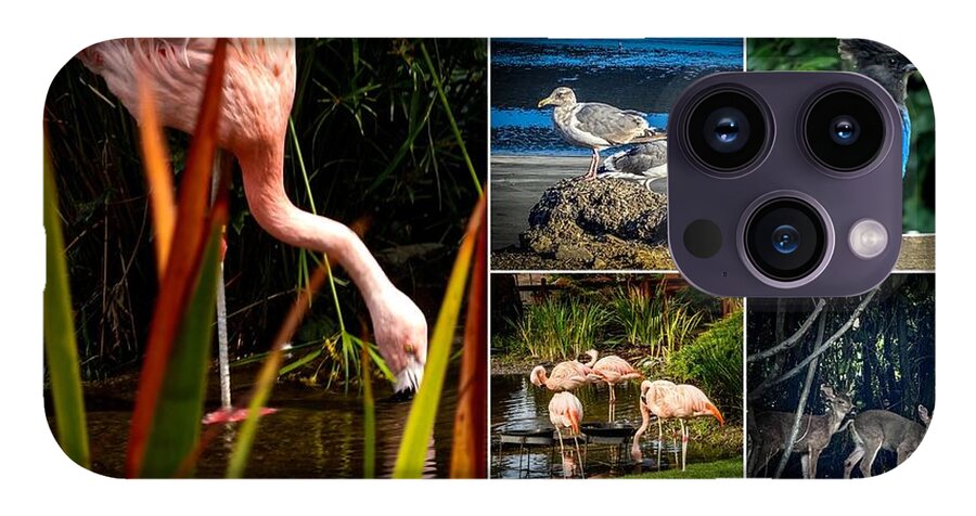 Wild life  1 - Phone Case