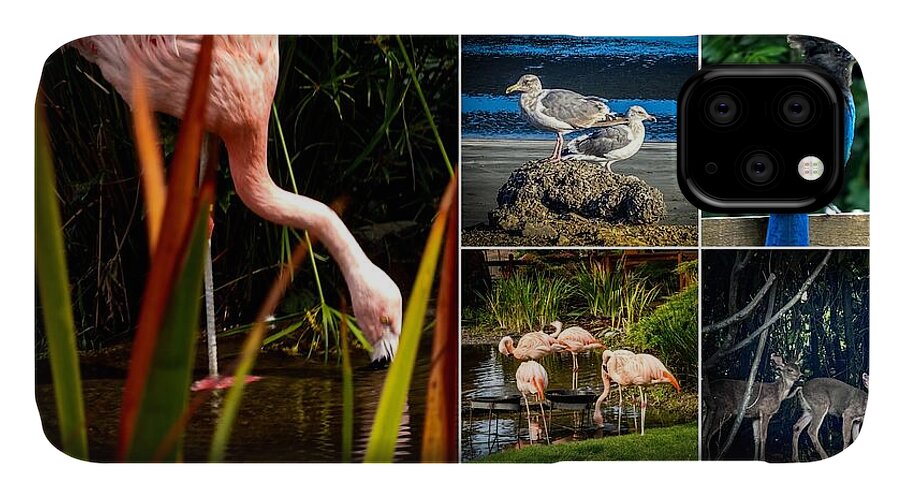 Wild life  1 - Phone Case