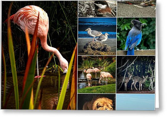 Wild life  1 - Greeting Card