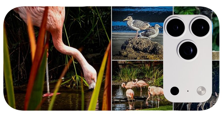 Wild life  1 - Phone Case