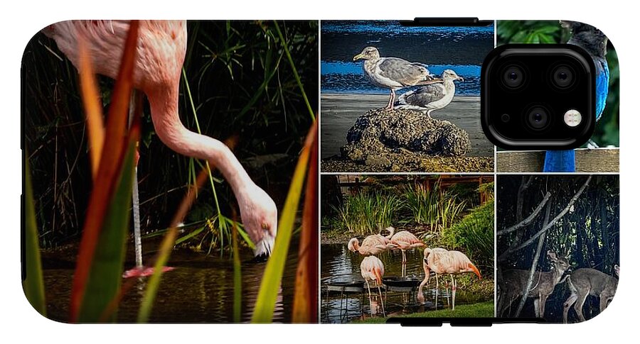 Wild life  1 - Phone Case