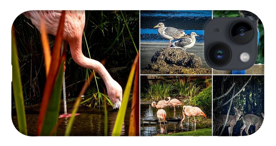 Wild life  1 - Phone Case