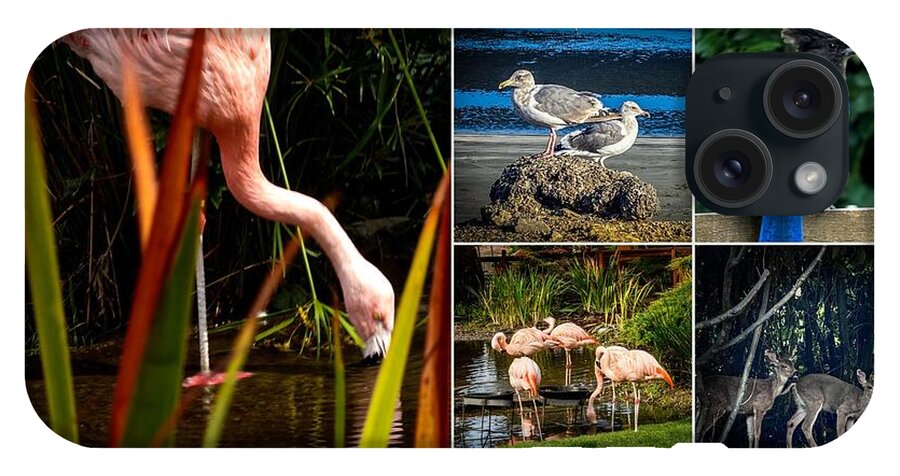 Wild life  1 - Phone Case