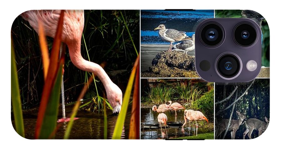 Wild life  1 - Phone Case