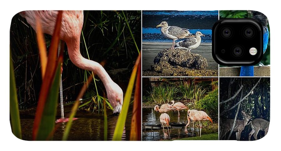 Wild life  1 - Phone Case