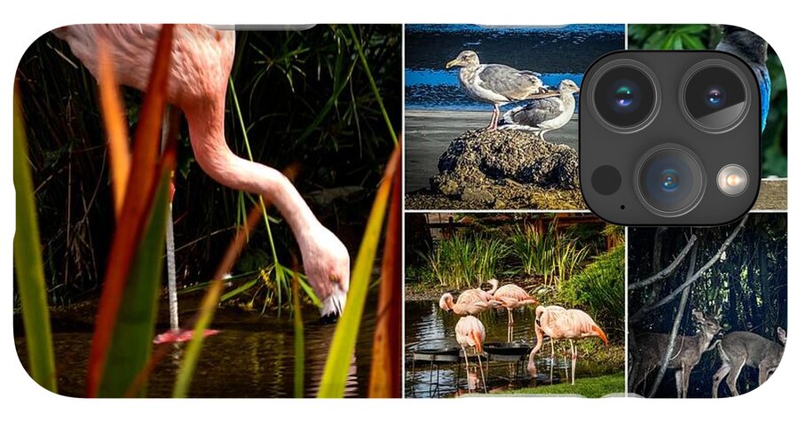 Wild life  1 - Phone Case