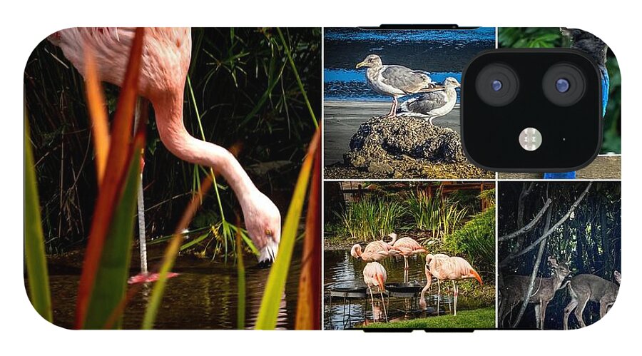 Wild life  1 - Phone Case