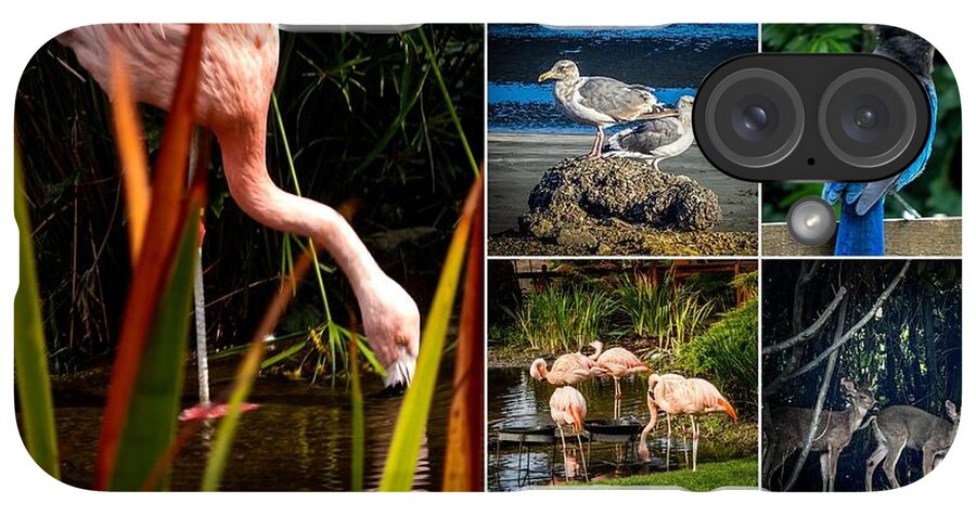 Wild life  1 - Phone Case
