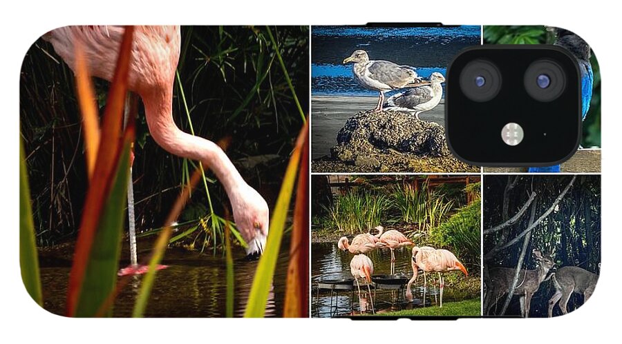 Wild life  1 - Phone Case