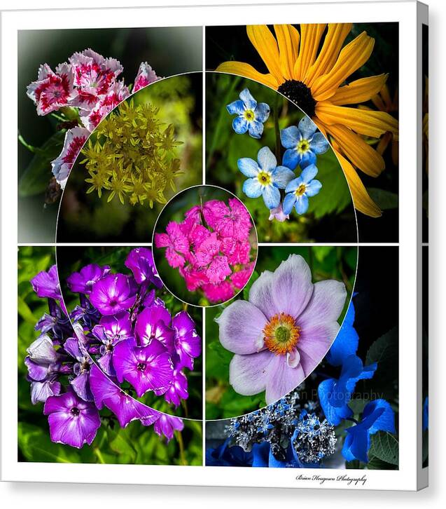 Flowers  2 - Canvas Print