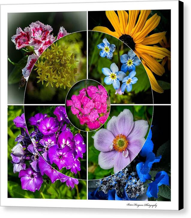 Flowers  2 - Canvas Print