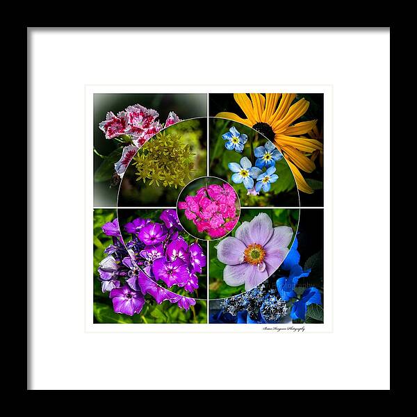 Flowers  2 - Framed Print