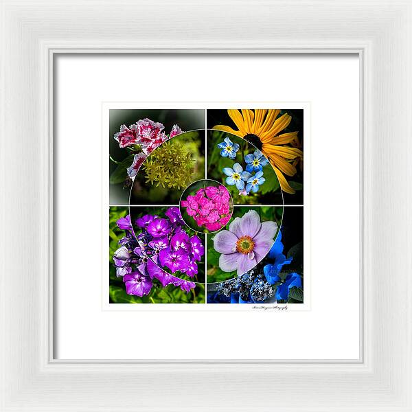Flowers  2 - Framed Print