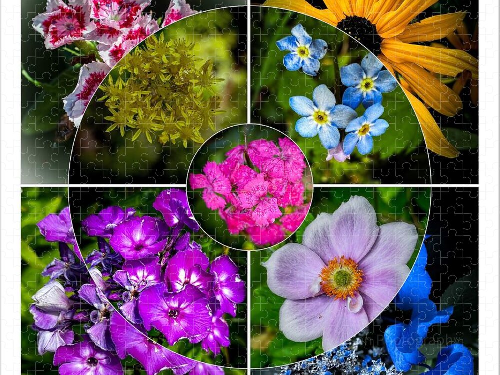 Flowers  2 - Puzzle