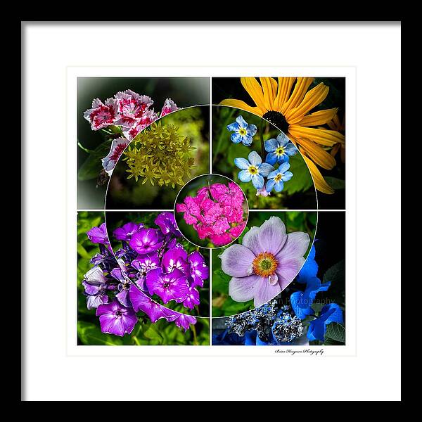 Flowers  2 - Framed Print