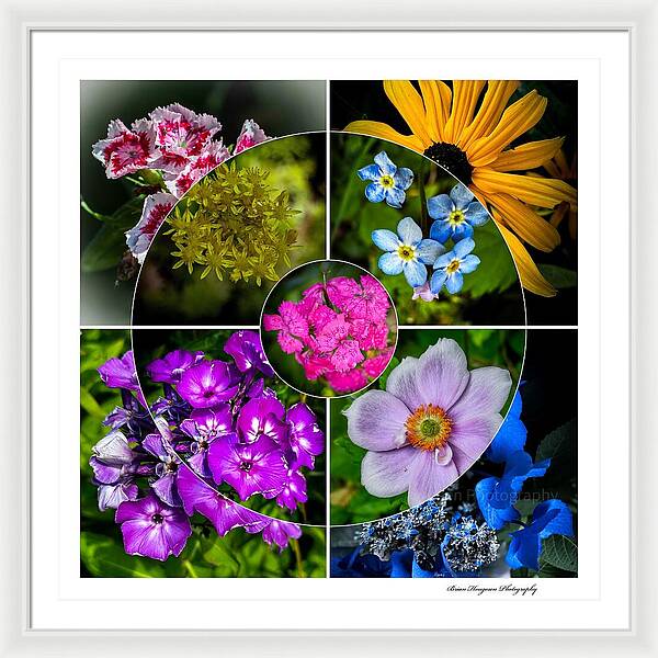 Flowers  2 - Framed Print