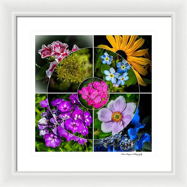 Flowers  2 - Framed Print