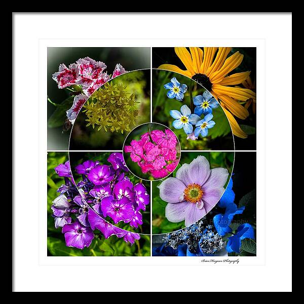Flowers  2 - Framed Print