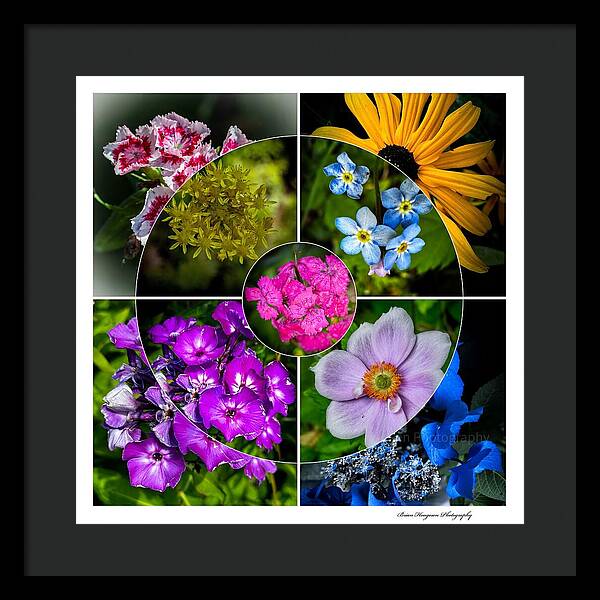 Flowers  2 - Framed Print