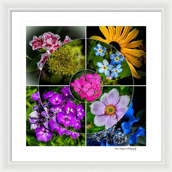 Flowers  2 - Framed Print