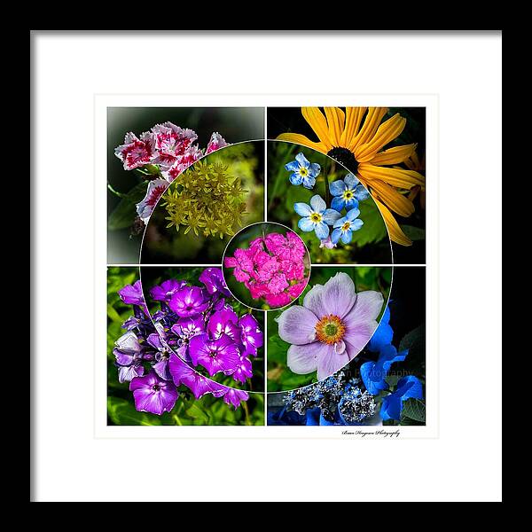 Flowers  2 - Framed Print