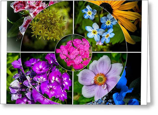 Flowers  2 - Greeting Card